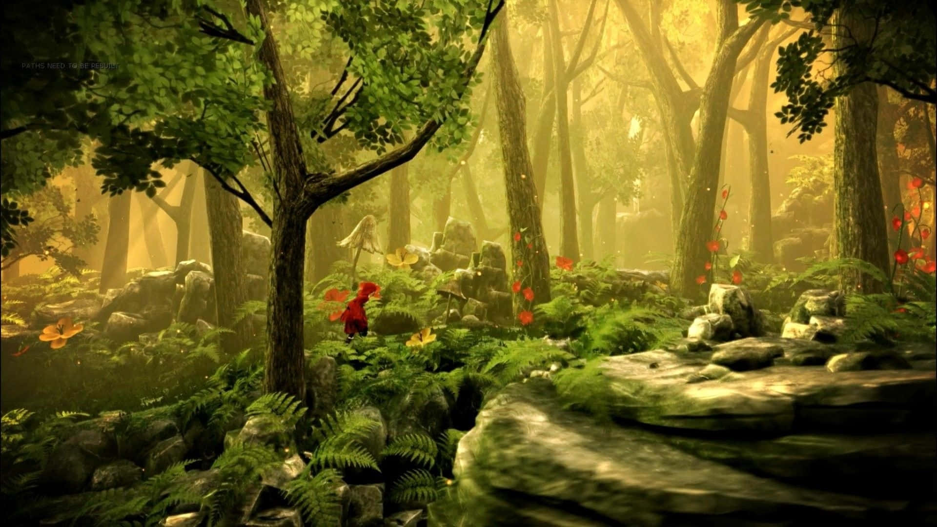Fairy Forest 桌布 壁紙 — 一隻小紅色生物探索著一個霧氣瀰漫、陽光明媚的森林，裡面有長滿苔蘚的岩石、蕨類植物和發光的橙色花朵。