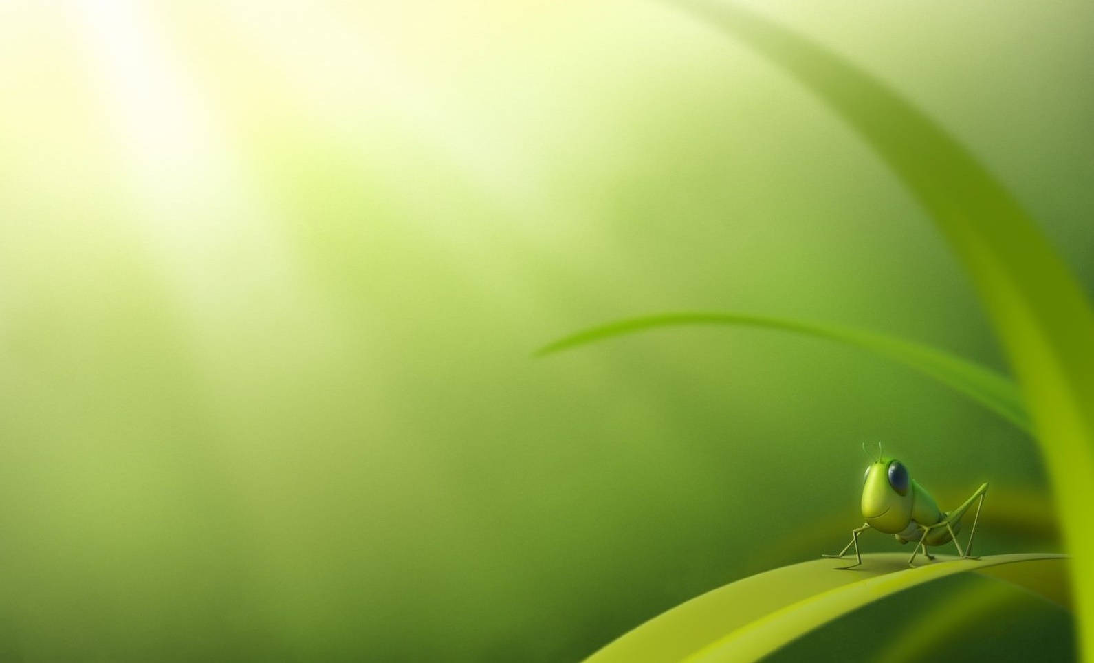 藝術 桌布 壁紙 — 一隻小綠色蚱蜢棲息在陽光照耀的草葉上，背景是柔和發光的綠色。