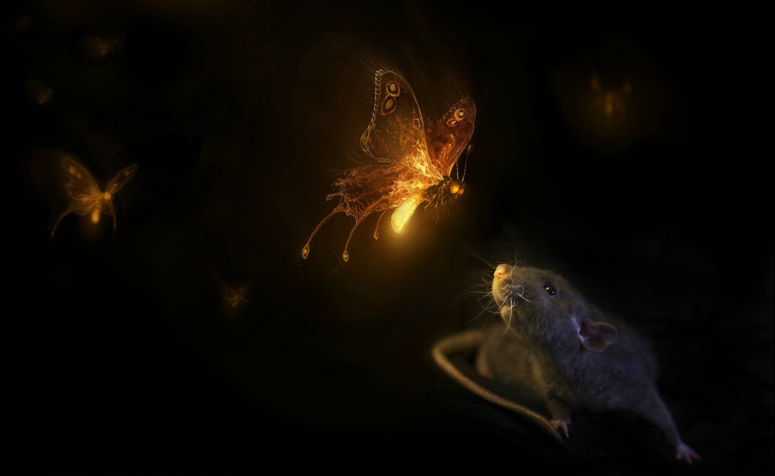 Mouse 桌布 壁紙 — 一隻小老鼠在黑暗神秘的環境中仰望一隻發光的金色蝴蝶。
