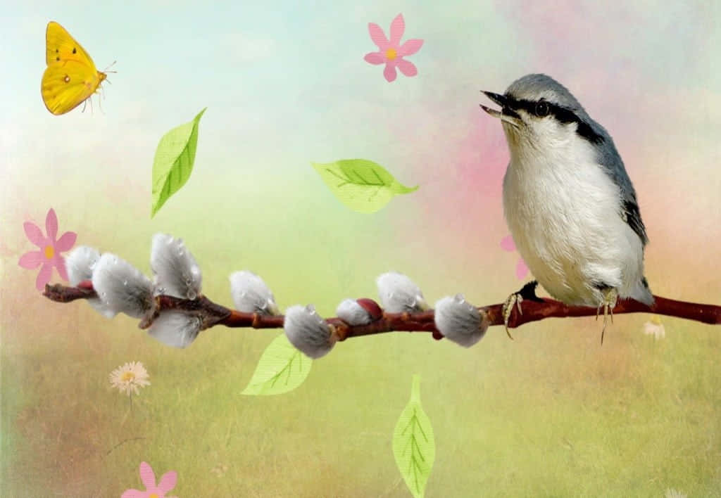 Birds Chirping 桌布 壁紙 — 一隻小鳥棲息在柳枝上，柳枝上有毛茸茸的柳絮和飄浮的葉子，附近有一隻黃蝴蝶翩翩飛舞。