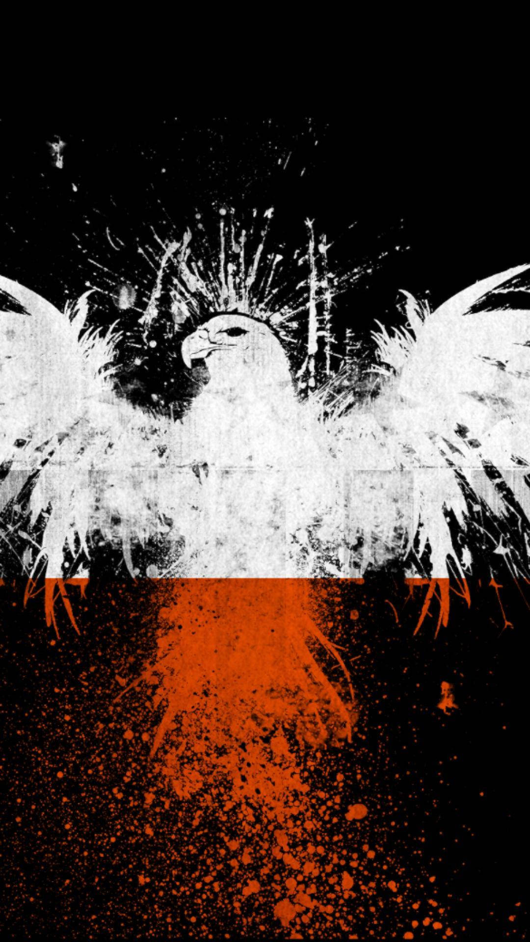 Poland Flag 桌布 壁紙 — 一隻展翅的白色雄鷹從黑色背景中衝出，下方濺滿火熱的橙色顏料。