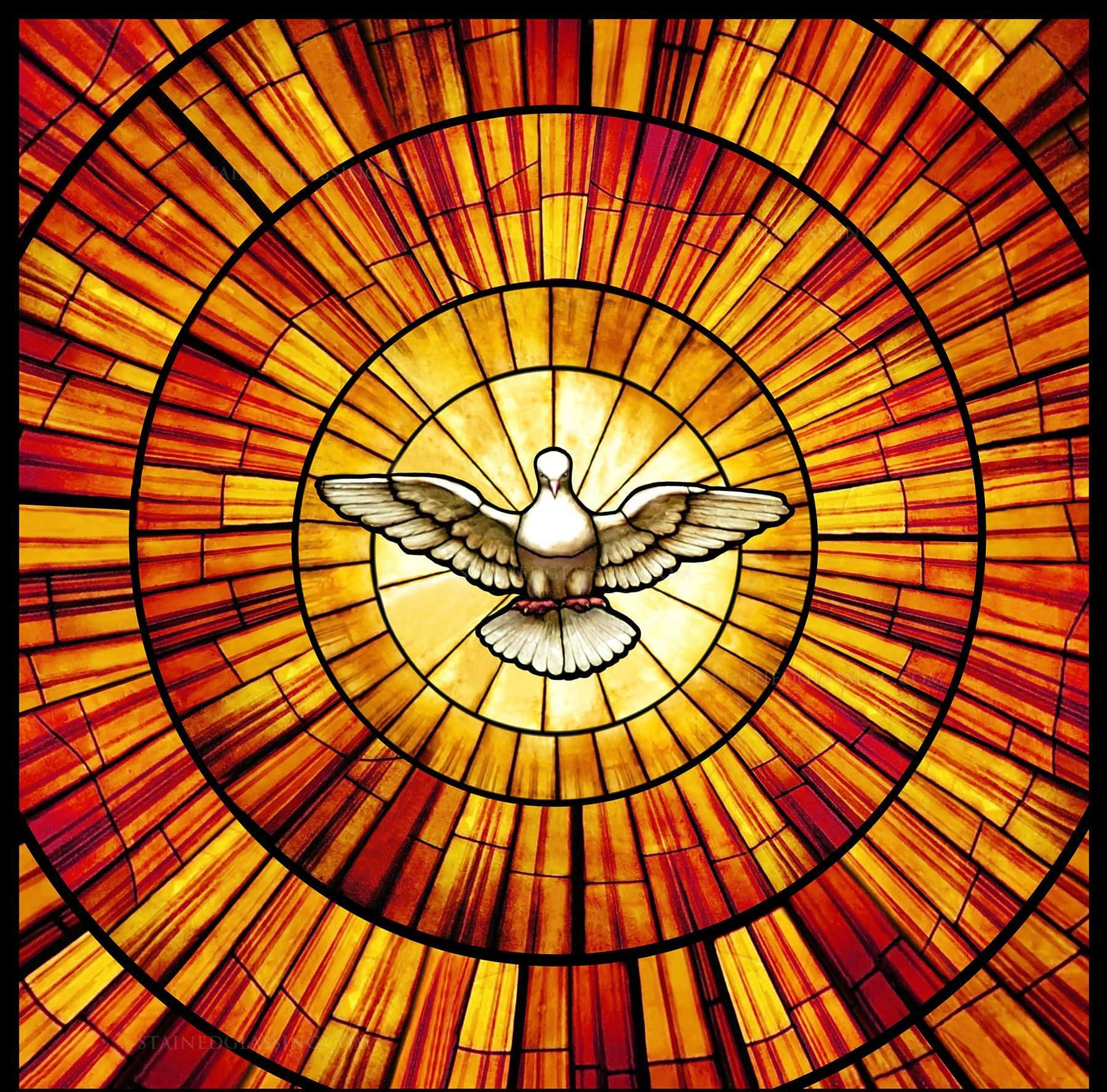 Stained Glass 桌布 壁紙 — 一隻展翅的白鴿從彩繪玻璃窗中放射光芒，窗上有暖琥珀色和深紅色的同心太陽光線圖案。