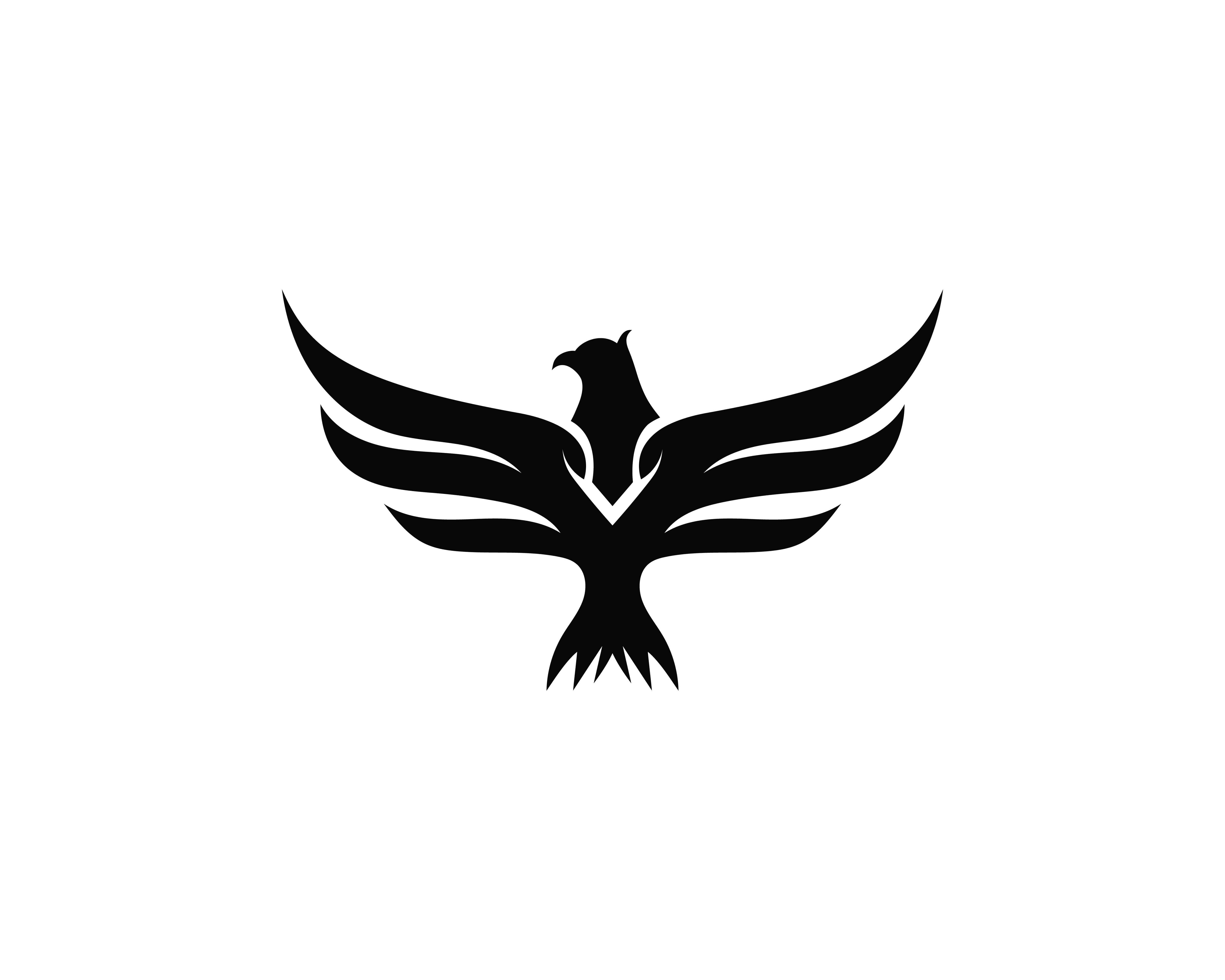 Falcon 桌布 壁紙 — 一隻展翅翱翔的雄鷹的醒目黑色剪影，映襯在純白背景上。