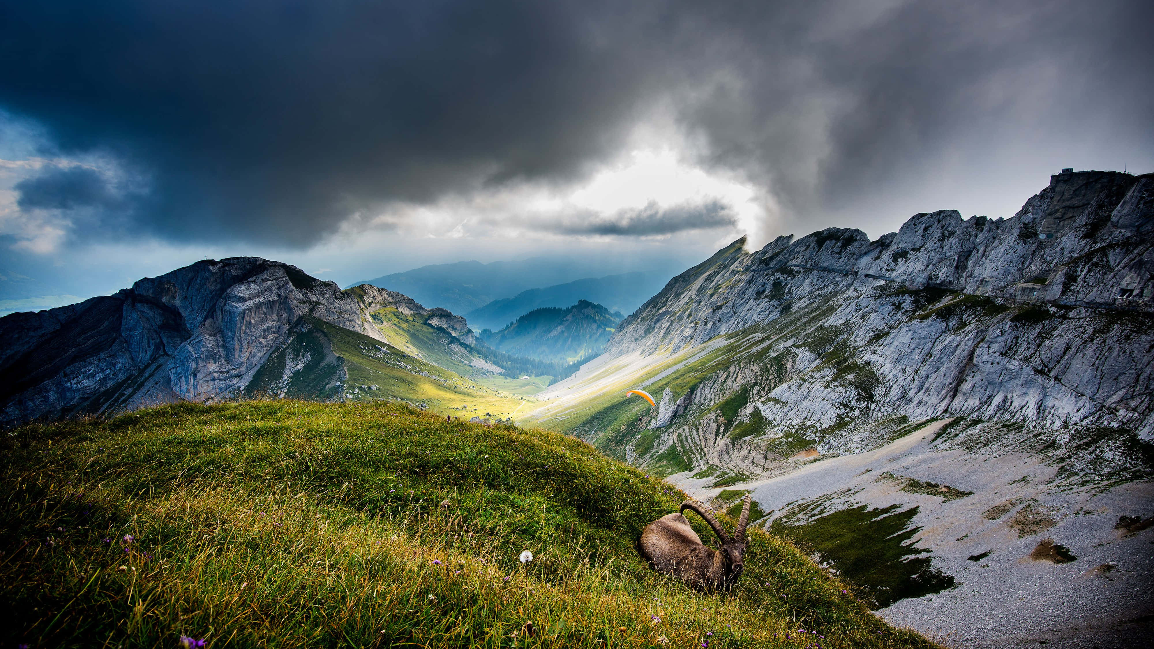 4K Mountain 桌布 壁紙 — 一隻山羊在陽光照耀的草坡上休息，而戲劇性的暴風雲籠罩著崎嶇的山峰和遙遠的山谷。
