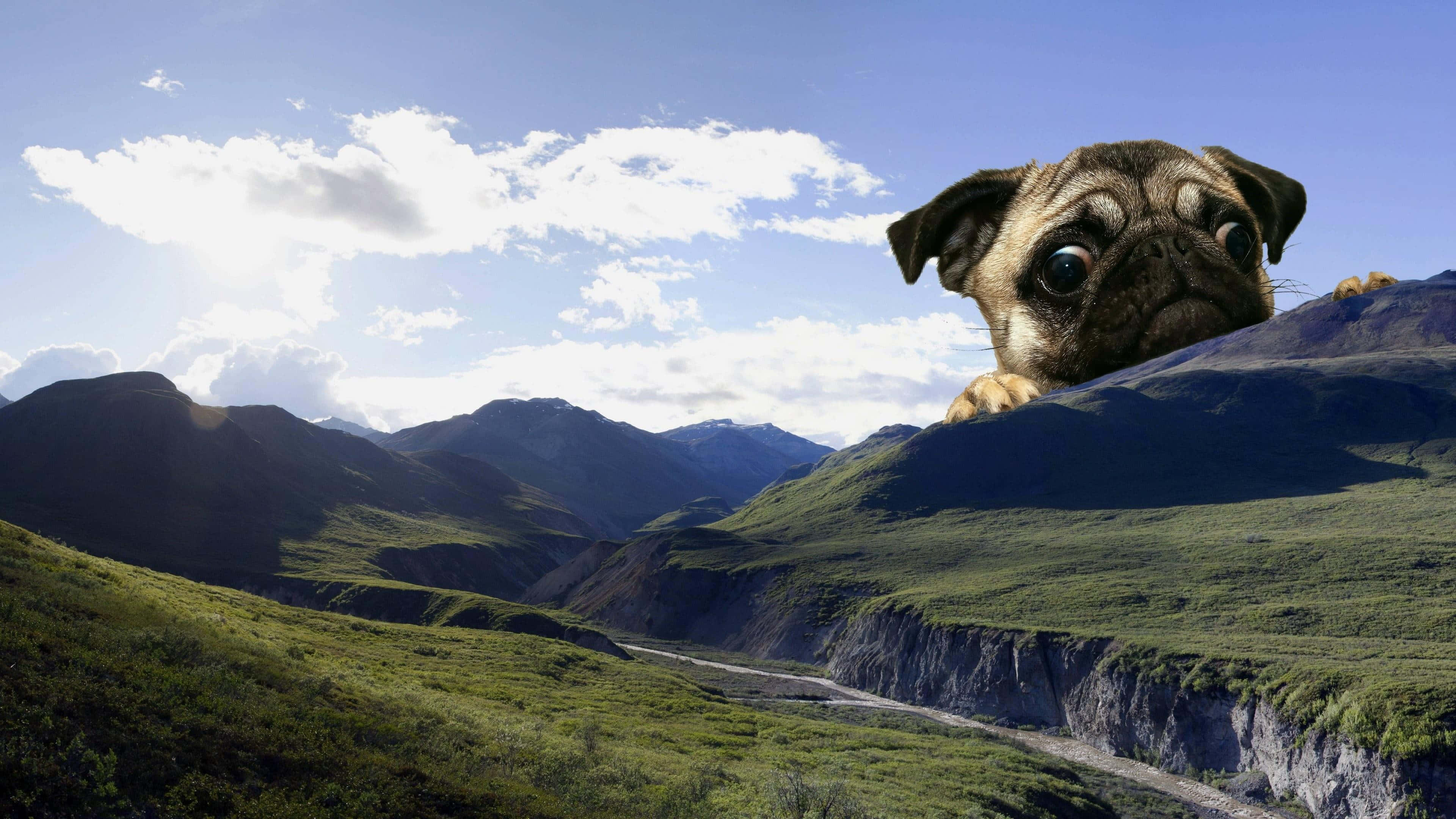meme 桌布 壁紙 — 一隻巨型八哥犬從山脊上探出頭來，俯瞰著蜿蜒的山谷，天空湛藍，白雲朵朵。