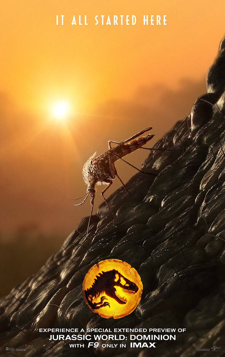 World 桌布 壁紙 — 一隻巨型蚊子在日落時棲息在岩石懸崖上，下方有發光的 Jurassic World 標誌。