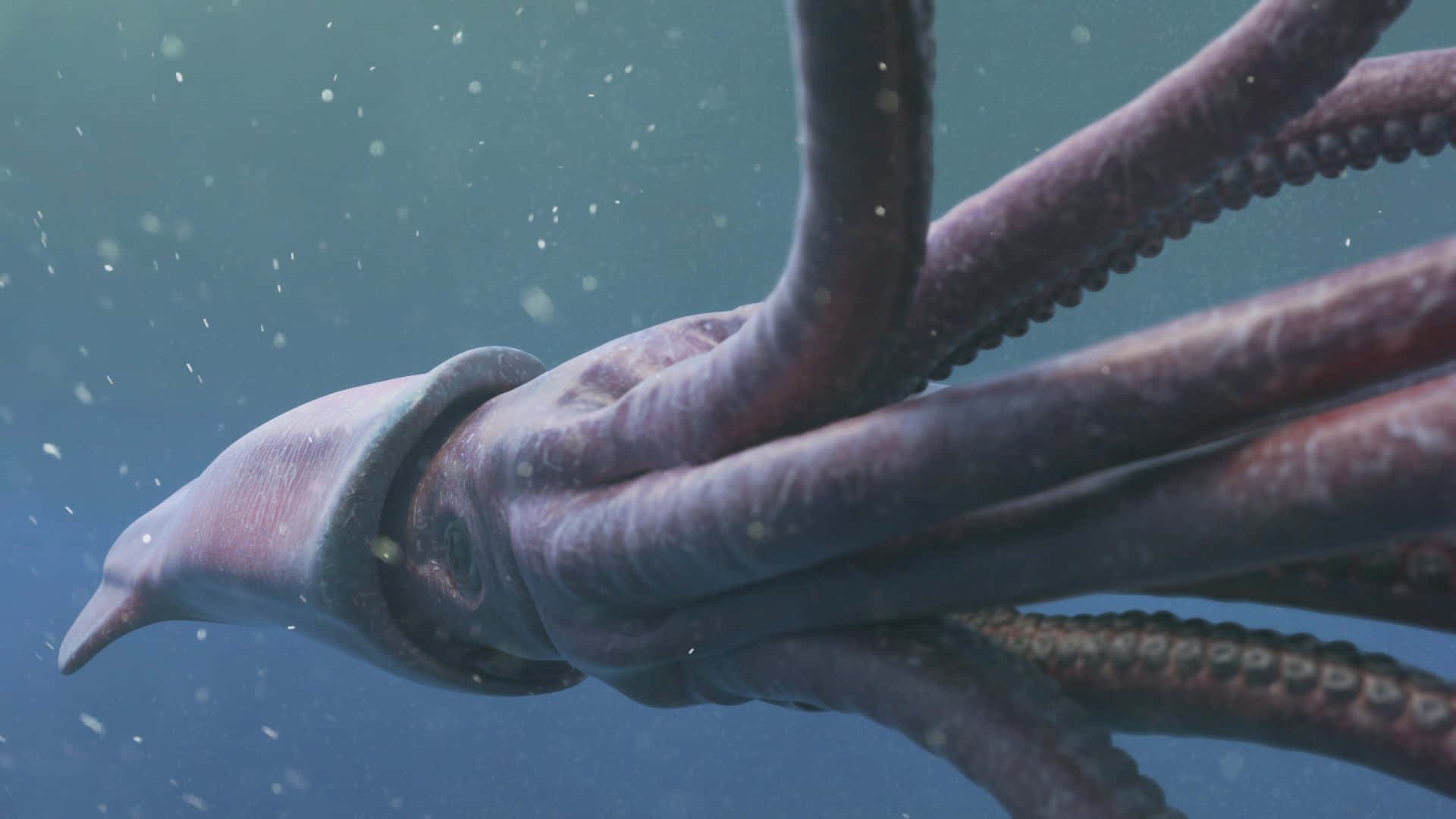 Giant Squid 桌布 壁紙 — 一隻巨型魷魚在深藍色海水中滑行，觸手飄動，周圍有粒子漂流。
