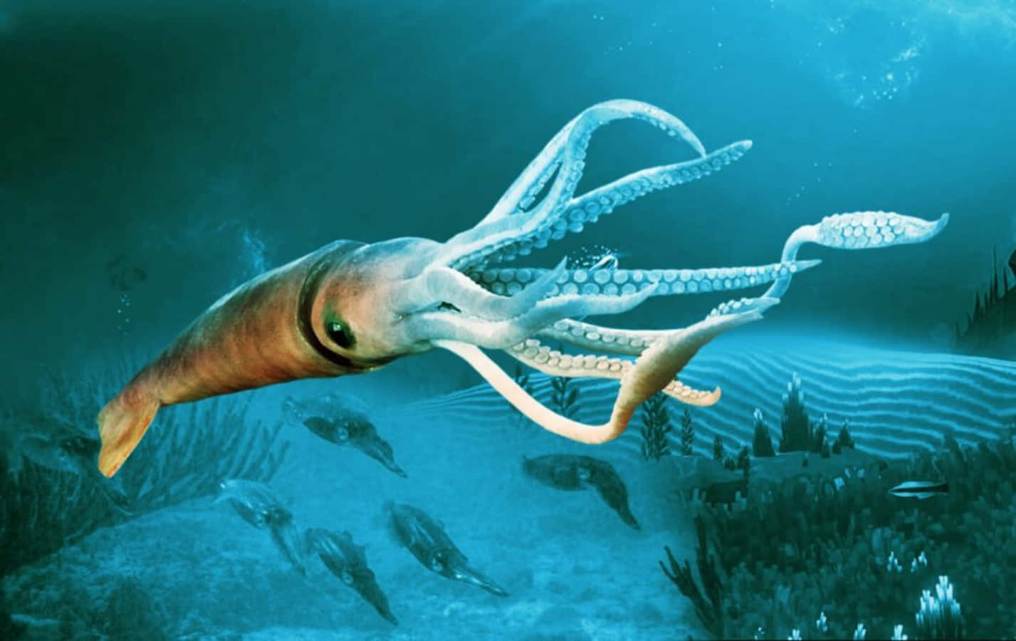 squid 桌布 壁紙 — 一隻巨型魷魚在深藍色海洋中優雅地滑行，上方是點綴著珊瑚和較小魷魚的海床。