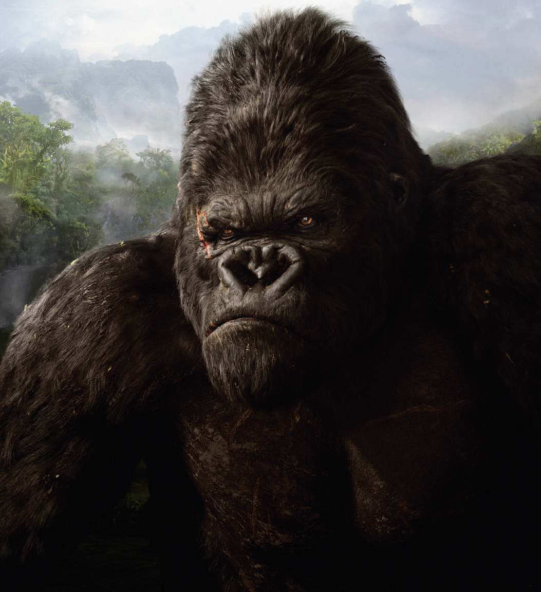 King Kong 桌布 壁紙 — 一隻巨大、帶有疤痕面孔的威脅性大猩猩，從迷霧叢林山谷中凝視著。