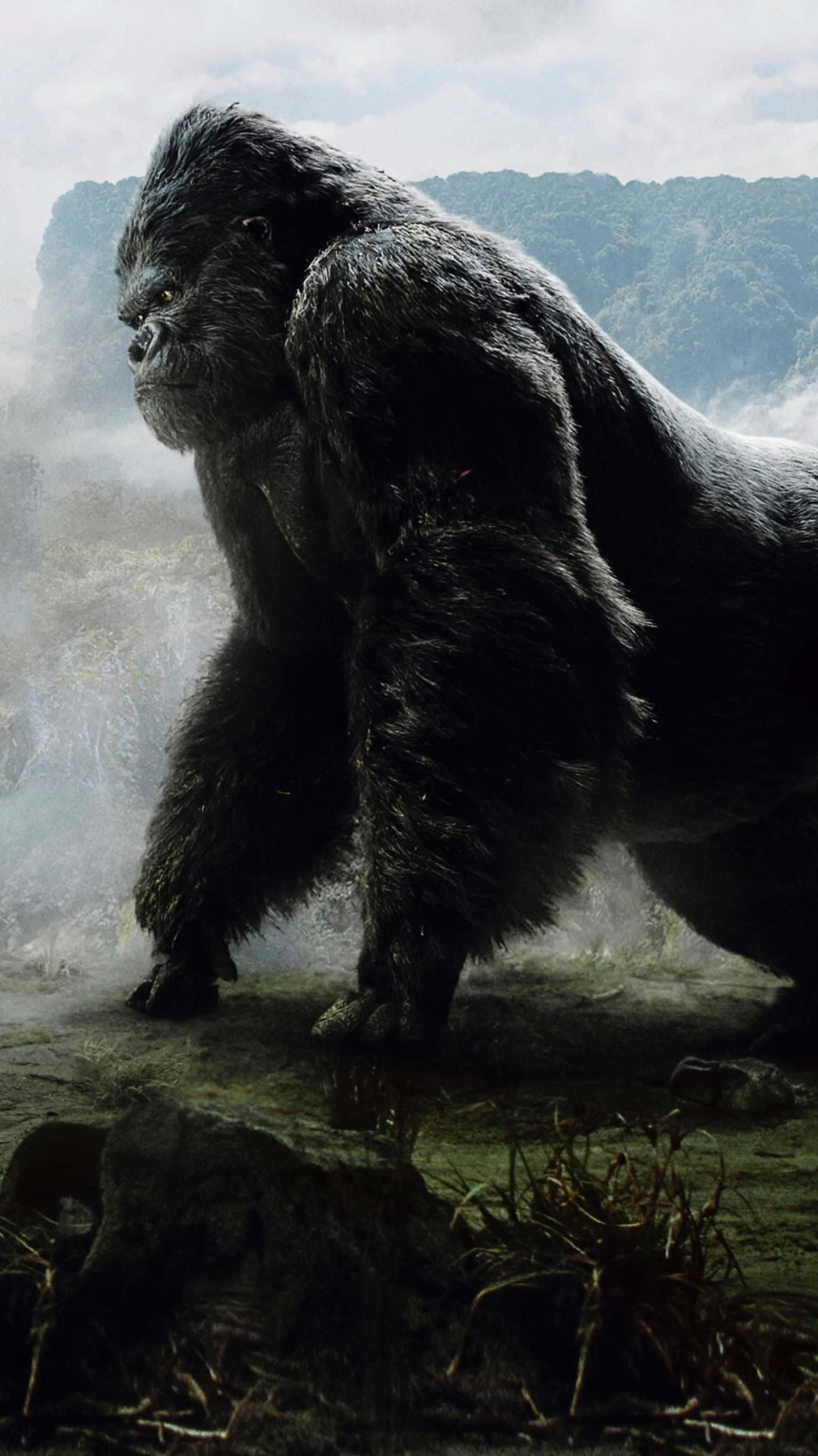 Gorilla 桌布 壁紙 — 一隻巨大且細節豐富的大猩猩強而有力地站在霧氣瀰漫、植被茂密且岩石遍佈的山地森林中。