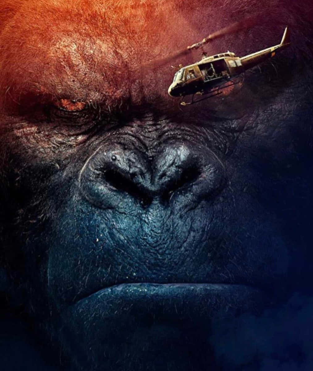 Gorilla 桌布 壁紙 — 一隻巨大猩猩的強烈面孔佔據了畫面，一架直升機威脅性地盤旋在它的眉毛上方。