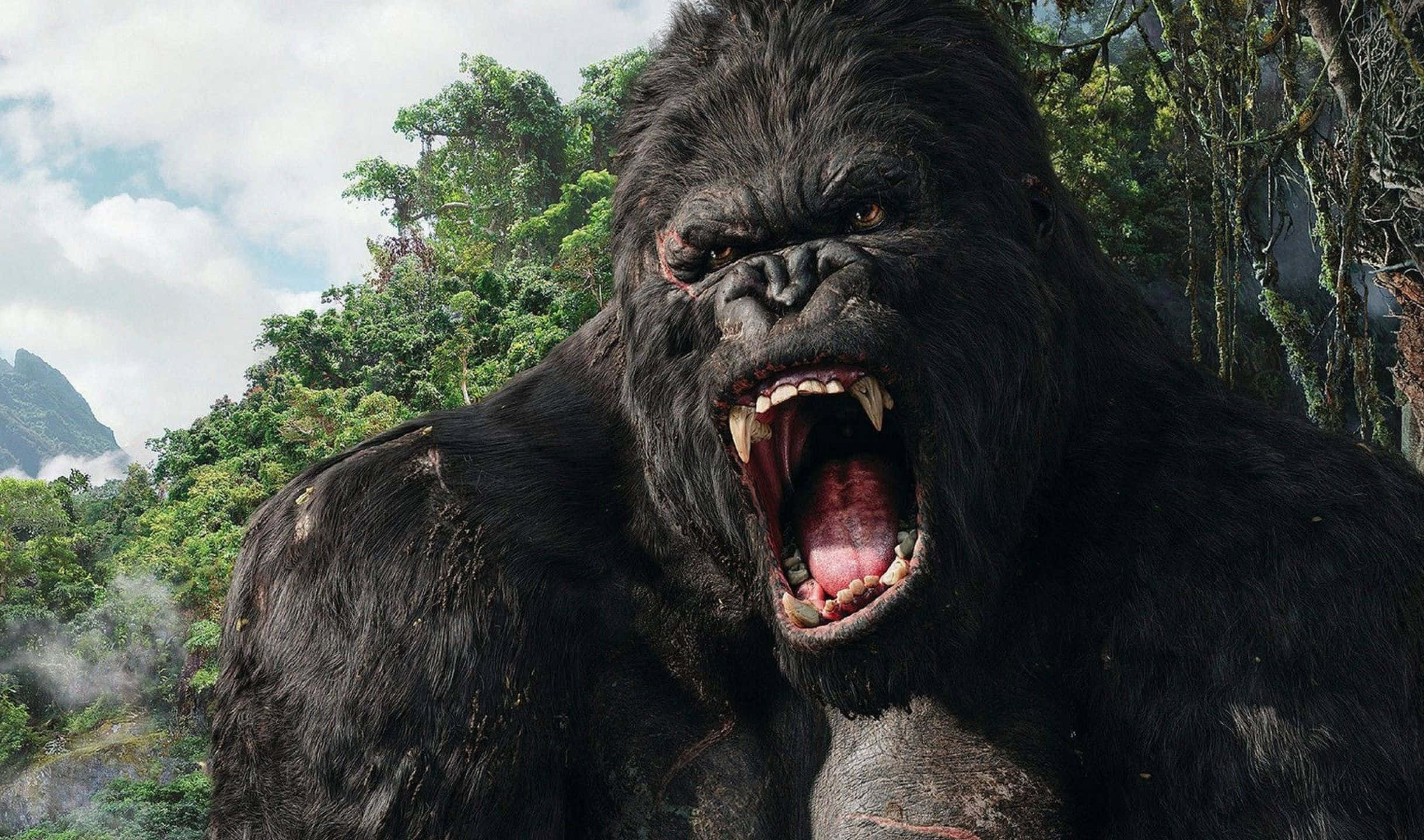 2440x1440 Gorilla 桌布 壁紙 — 一隻巨大的咆哮猩猩，擁有深色毛髮和鋒利牙齒，站在茂密的綠色叢林中，背景是霧氣繚繞的山脈。