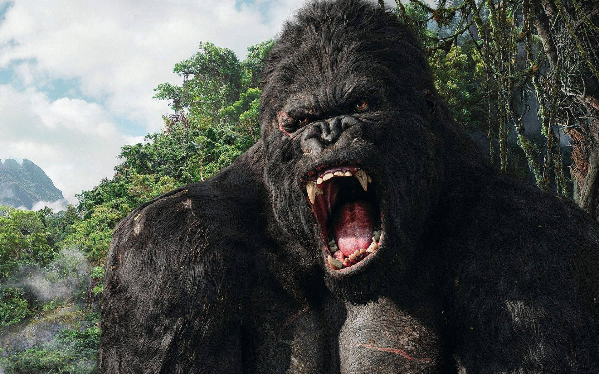 Gorilla 桌布 壁紙 — 一隻巨大的咆哮猩猩，擁有鋒利的牙齒和深色毛髮，站在霧氣瀰漫的叢林中，背景是山脈。