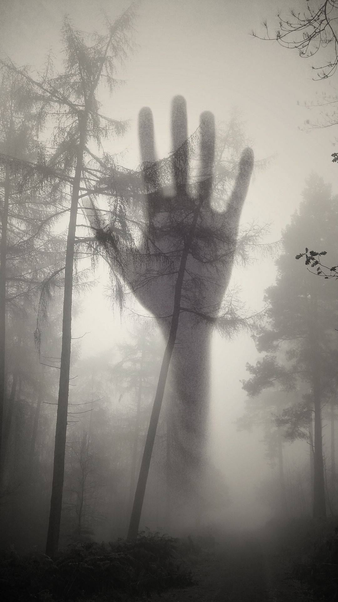 詭異的GIF 桌布 壁紙 — 一隻巨大的幽靈手從霧氣瀰漫的樹林中浮現，手指穿過骷髏般的樹木，構成一個令人毛骨悚然的單色場景。