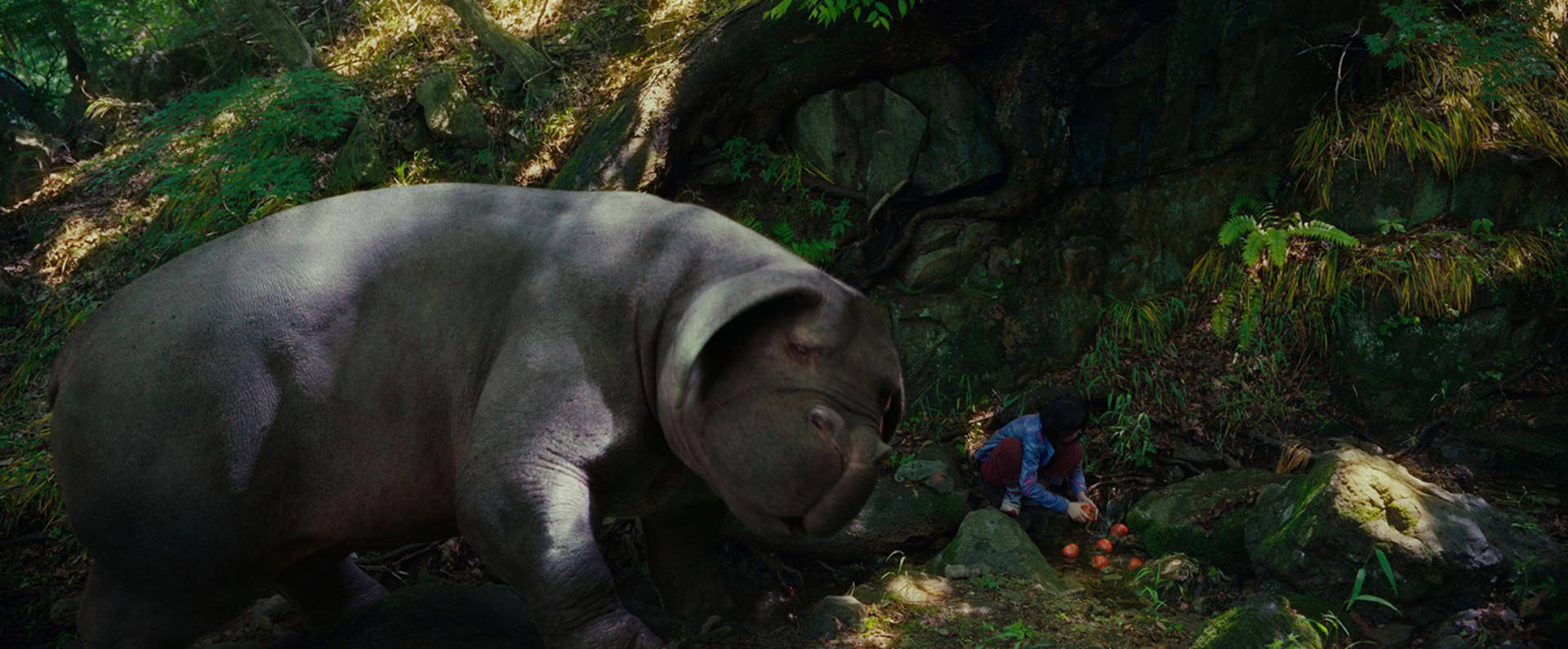 okja 桌布 壁紙 — 一隻巨大的河馬溫柔地俯身看著一個在陽光明媚、長滿苔蘚的森林空地中採摘紅色漿果的孩子。