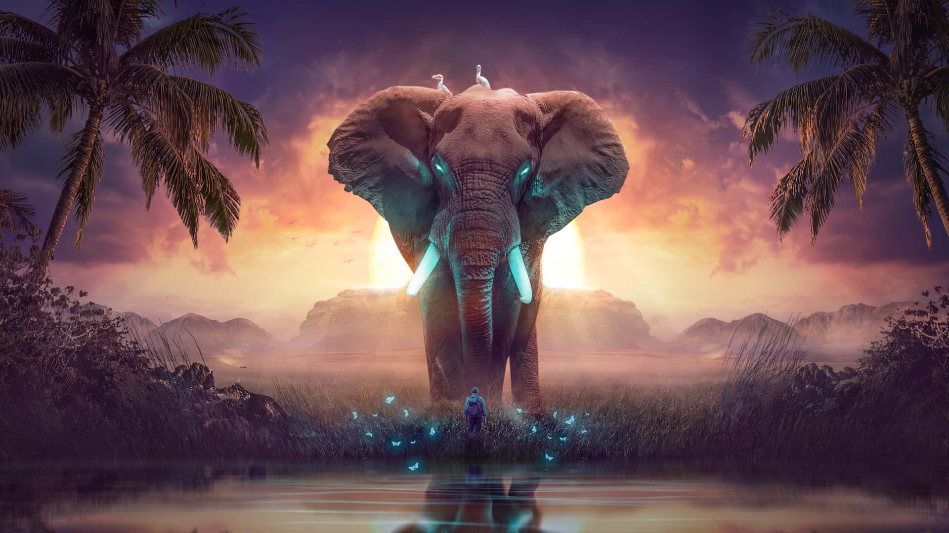 Elephant Laptop 桌布 壁紙 — 一隻巨大的發光大象站在日落時分的熱帶沼澤中，附近有一個小人影和發光的蝴蝶。