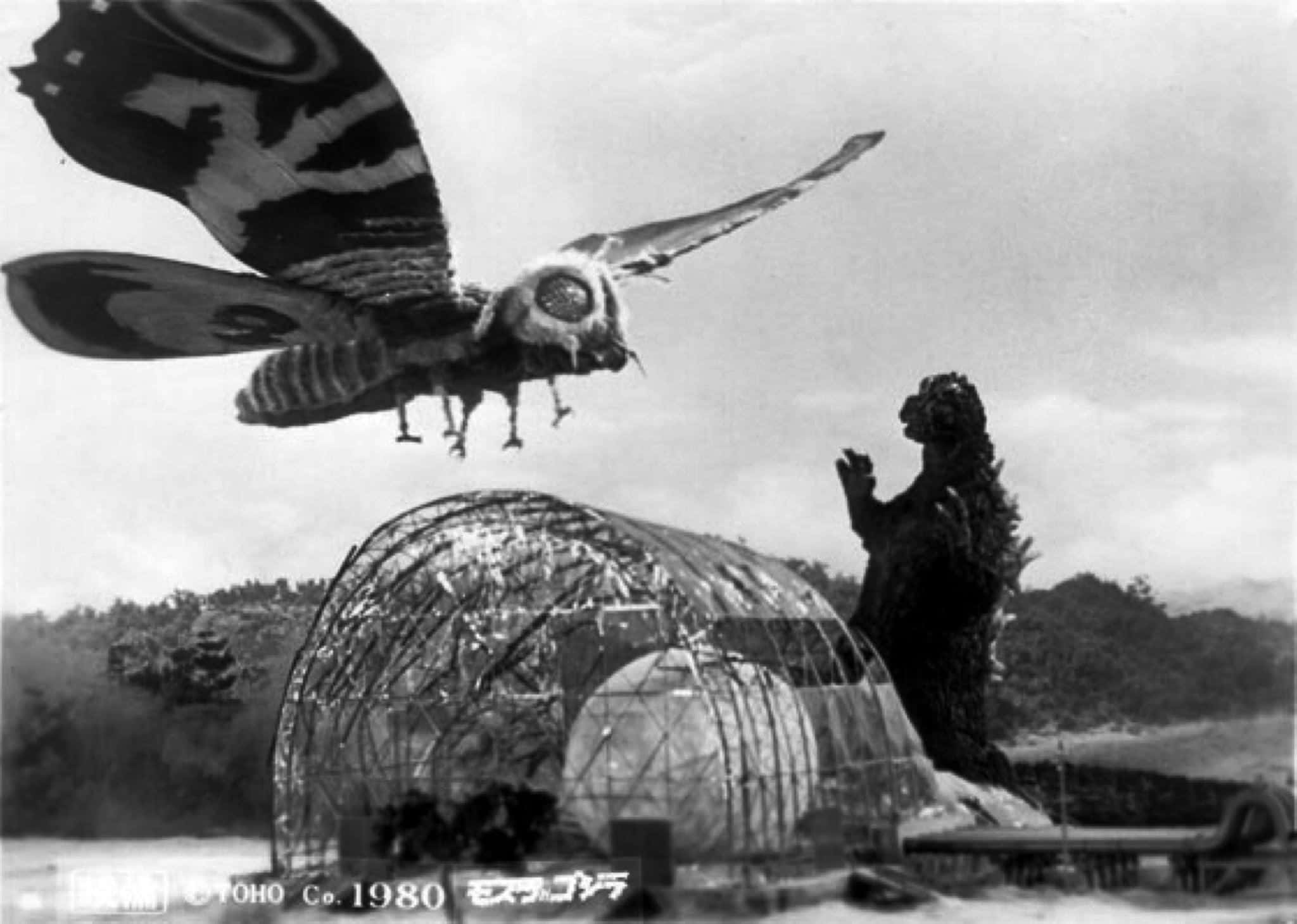 Godzilla Vs Mothra 桌布 壁紙 — 一隻巨大的飛蛾狀怪物在哥吉拉上方翱翔，哥吉拉站在一個破碎的圓頂結構旁邊，場景為黑白電影畫面。