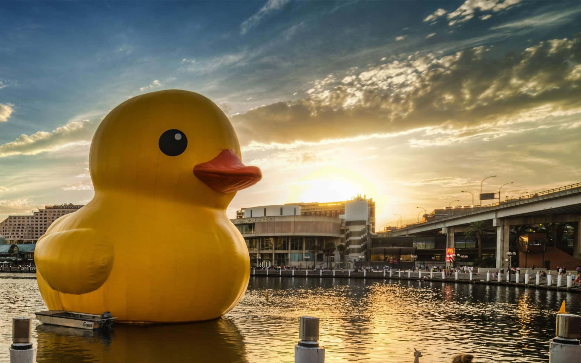 Cute Duck 桌布 壁紙 — 一隻巨大的黃色橡膠鴨在水面上靜靜漂浮，背後金色的夕陽光芒沐浴著城市天際線。