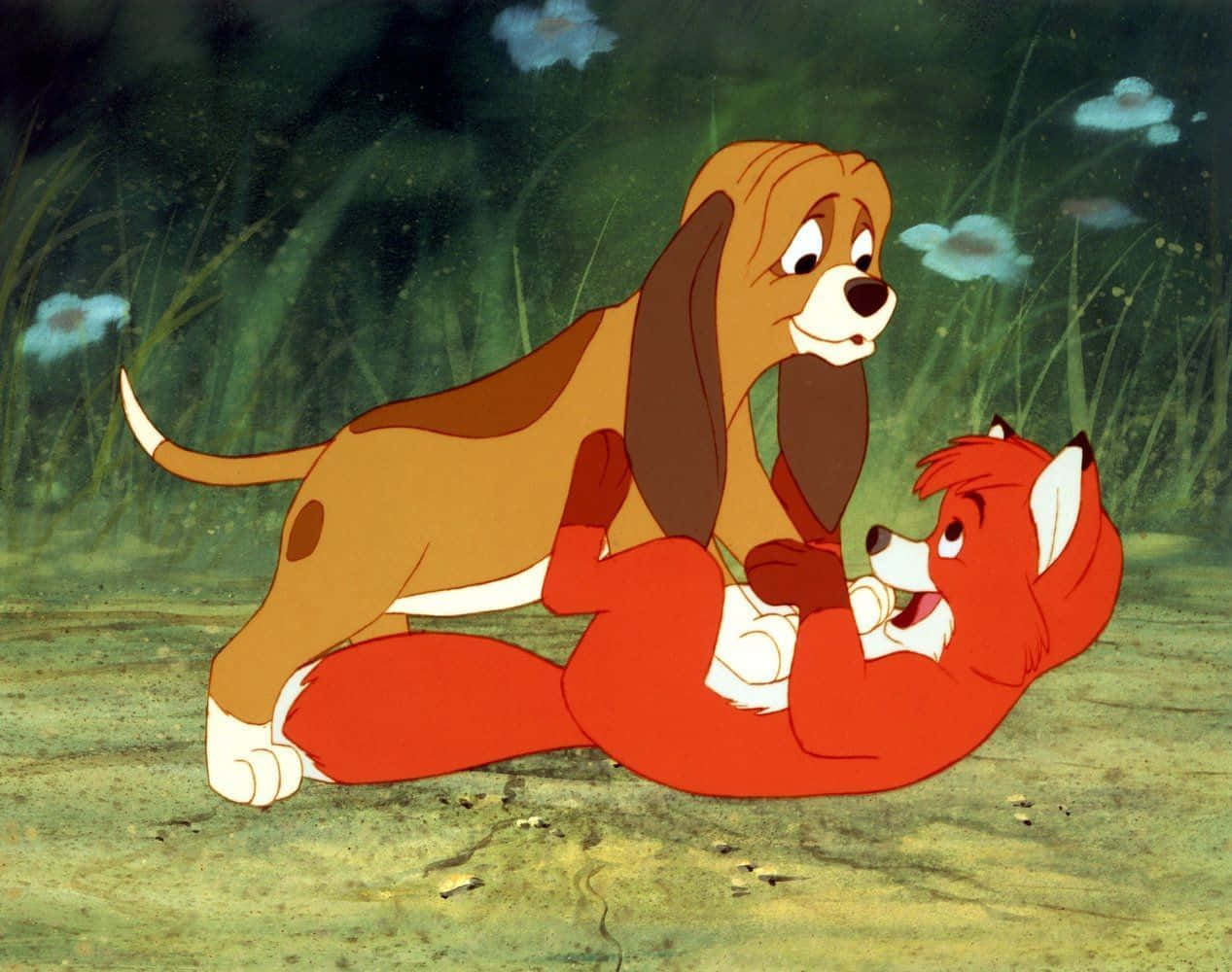the fox and the hound 桌布 壁紙 — 一隻巴吉度獵犬和一隻赤狐在黑暗樹冠下的草地上，與藍色花朵嬉戲扭打。