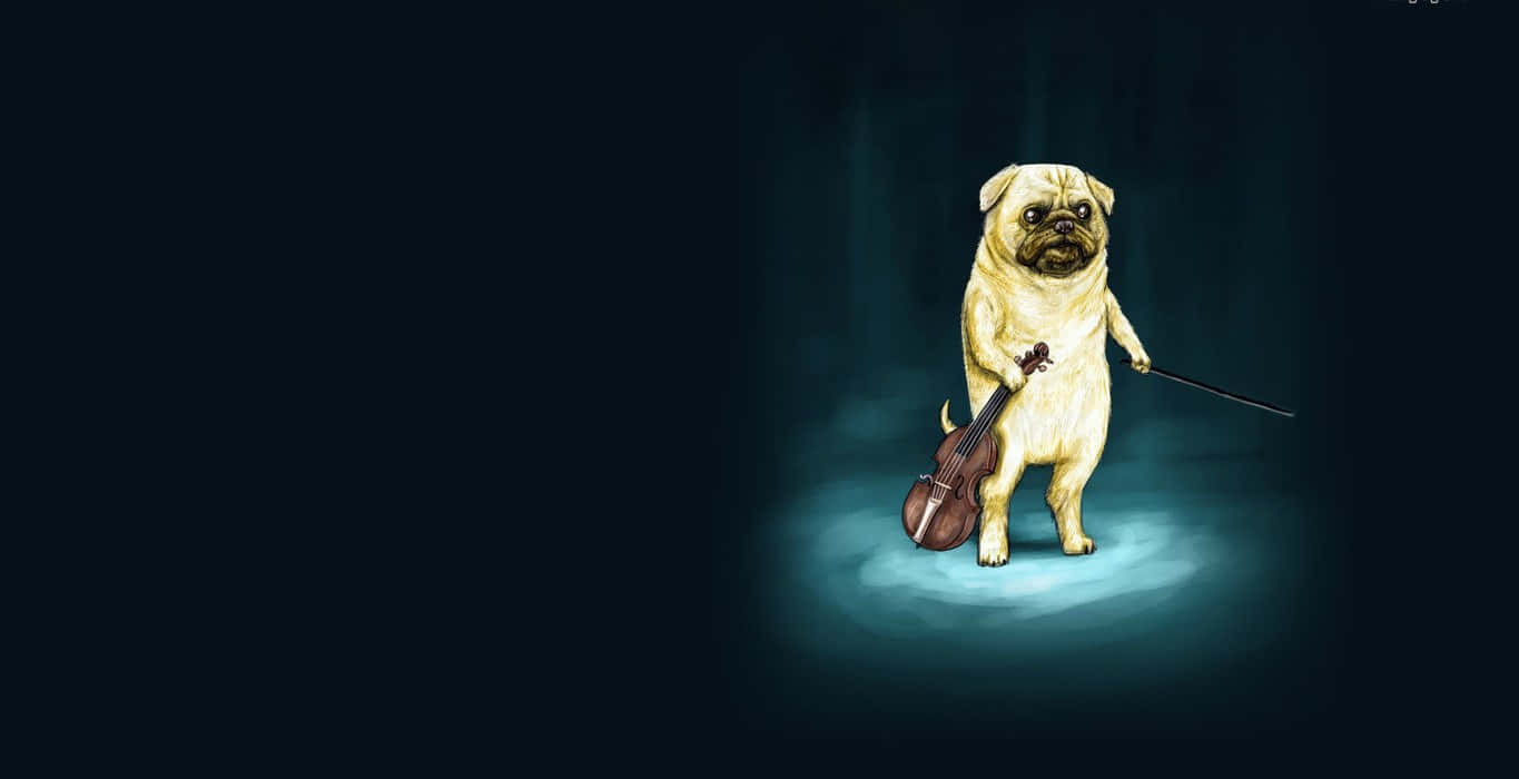 Funny Dog 桌布 壁紙 — 一隻巴哥犬站在聚光燈照耀的舞台上，手持小提琴和指揮棒，背景是深藍綠色。