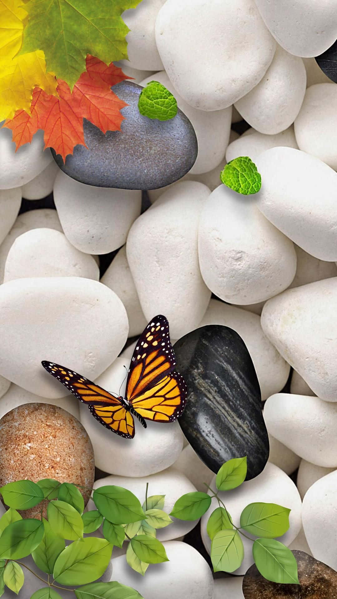 Stone 桌布 壁紙 — 一隻帝王斑蝶在光滑的石頭上休息，周圍有秋葉和新鮮的綠色樹葉。