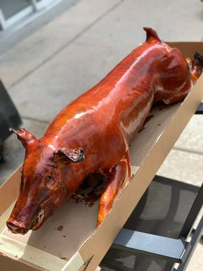 Pig 桌布 壁紙 — 一隻帶有光澤焦糖化外皮的烤全豬，放在戶外桌子上的紙板托盤中。