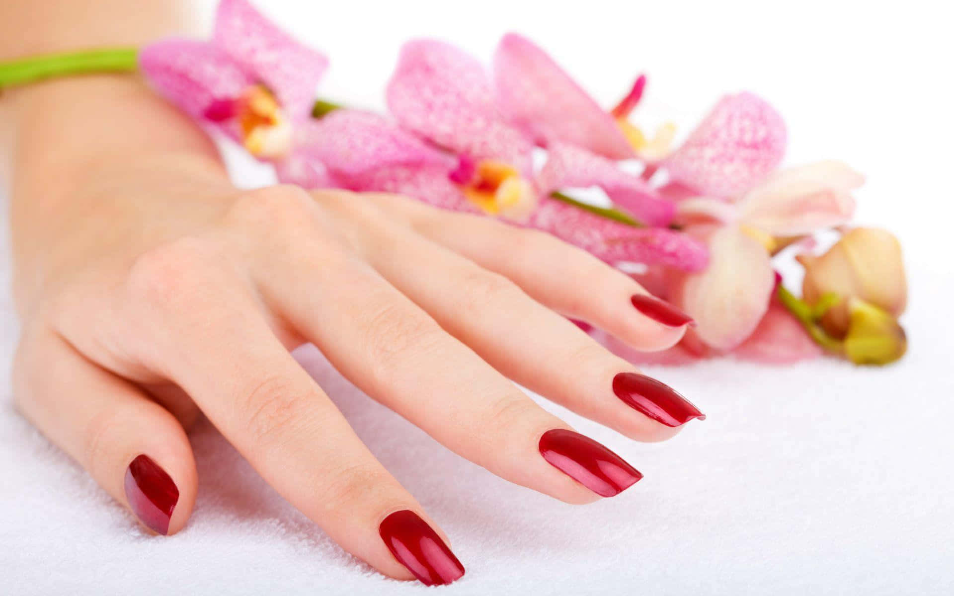 Cute Nails 桌布 壁紙 — 一隻帶有光澤紅色指甲的手的特寫，放在白色毛巾上柔軟的粉紅色蘭花旁邊。
