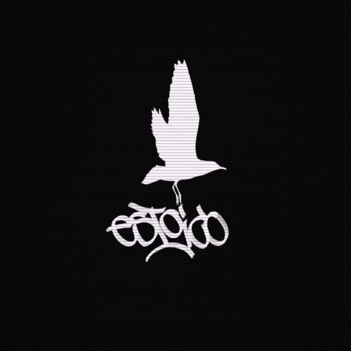 lil peep 動態圖 桌布 壁紙 — 一隻帶有條紋紋理的鳥在飛行中的鮮明白色剪影，懸浮在黑色背景上的風格化塗鴉文字上方。