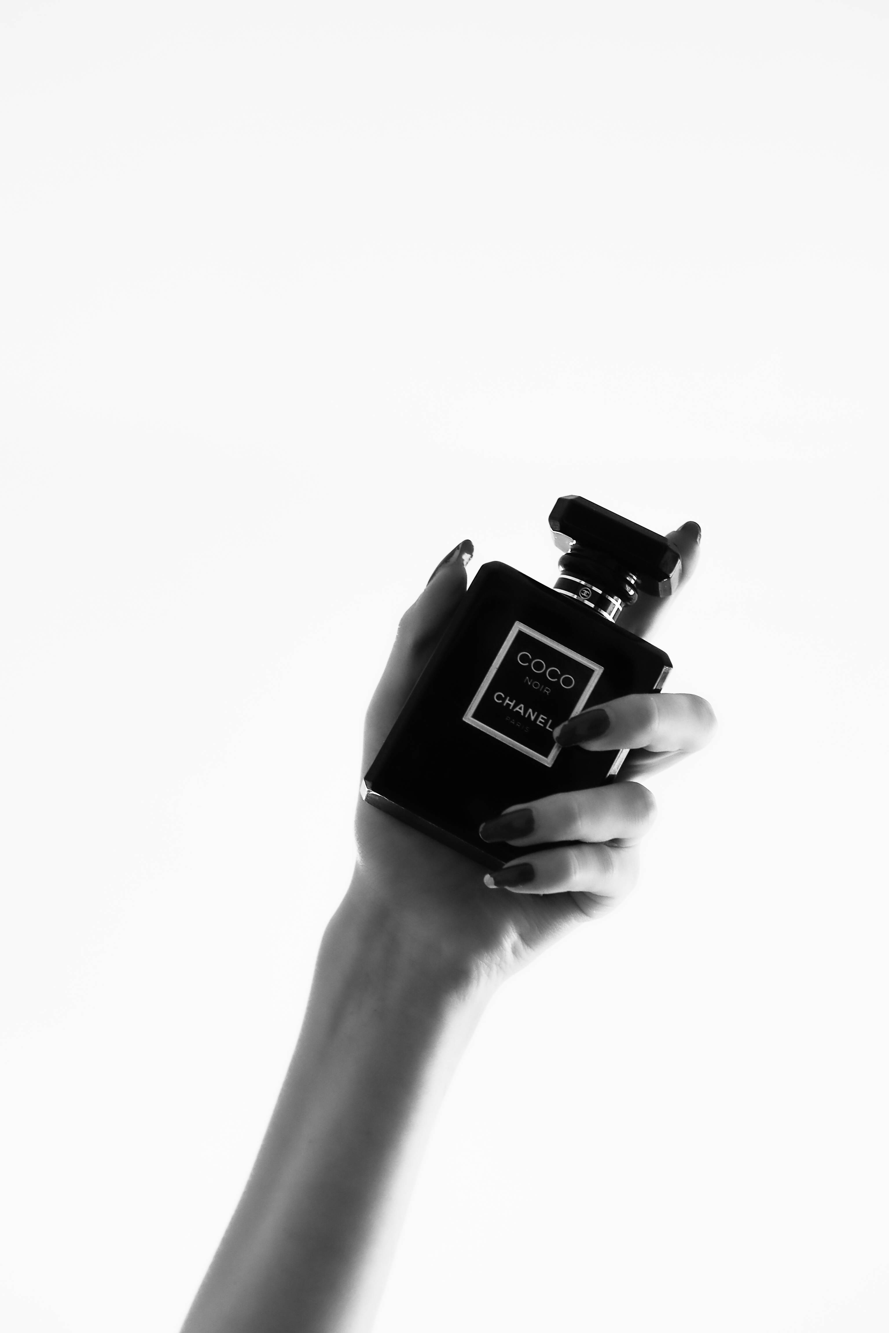 Gucci 桌布 壁紙 — 一隻帶有深色指甲的手，在單色純白背景下握著一個黑色的 Chanel Coco Mademoiselle 香水瓶。