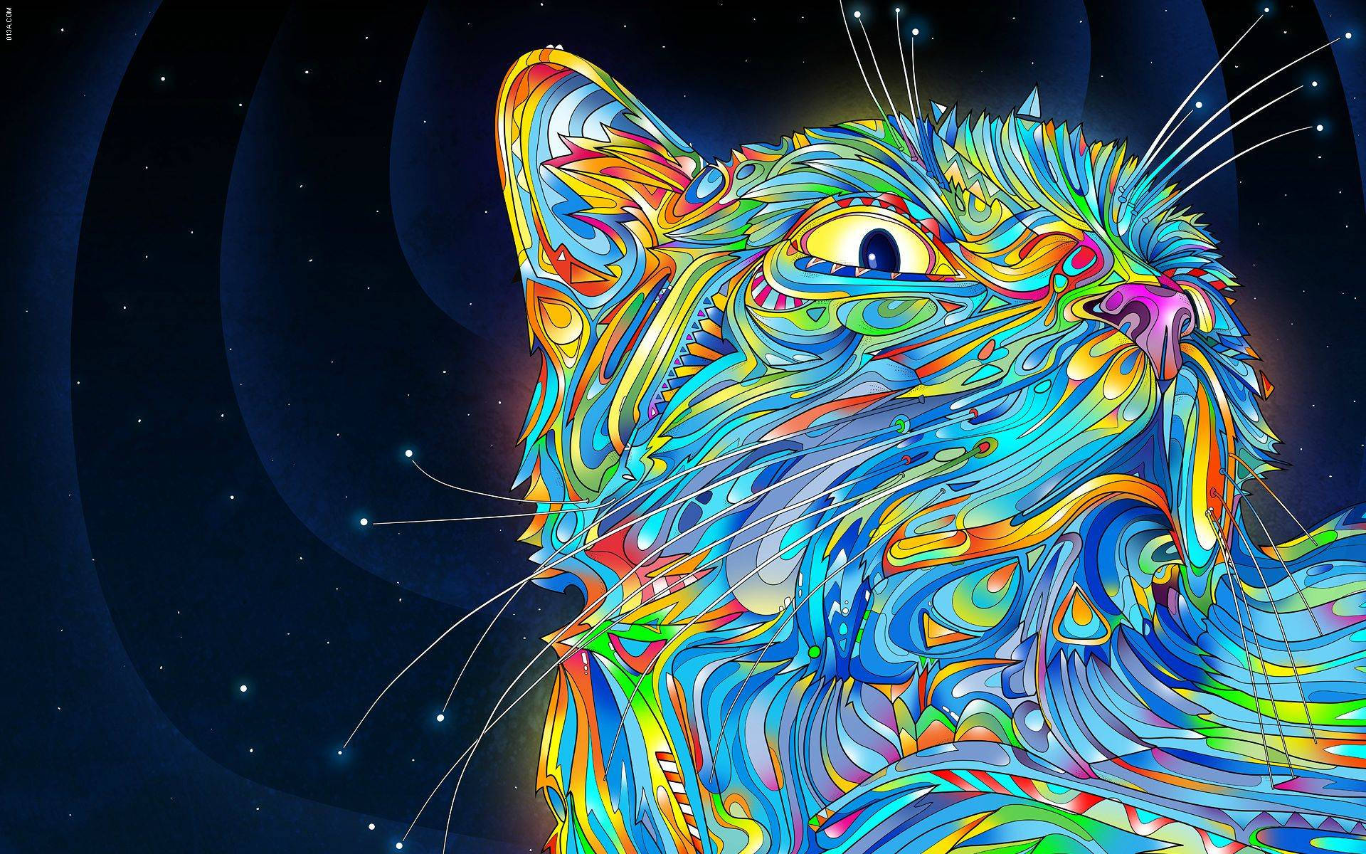 嬉皮 桌布 壁紙 — 一隻帶有漩渦彩虹圖案的迷幻貓咪，在繁星宇宙背景下向上凝視。