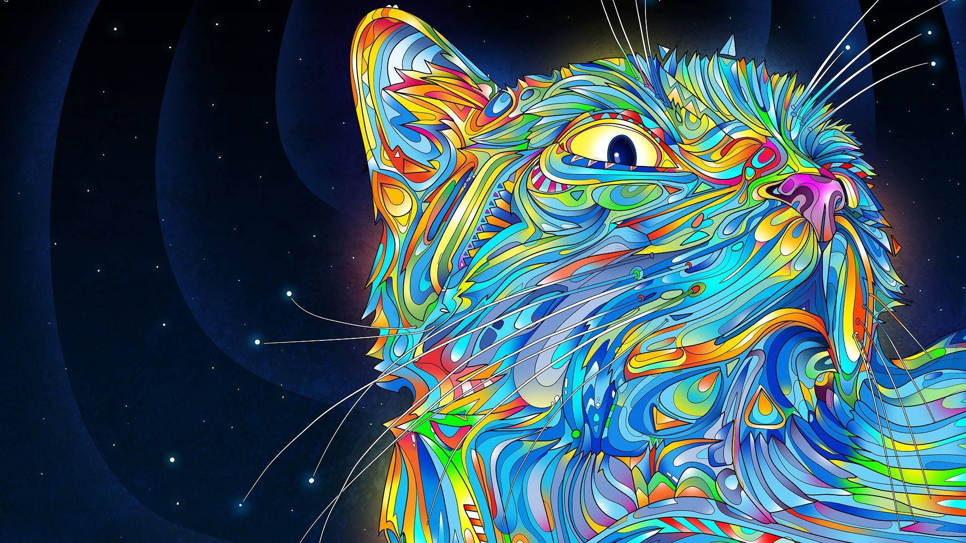 迷幻動圖 桌布 壁紙 — 一隻帶有漩渦彩虹圖案的迷幻貓咪，在星空宇宙背景下向上凝視。