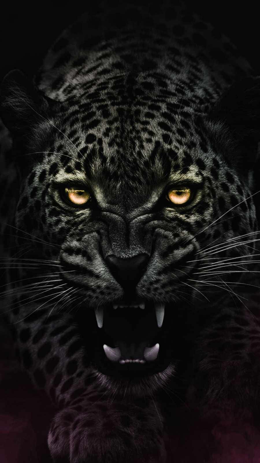 Jaguar 桌布 壁紙 — 一隻帶有琥珀色發光眼睛的兇猛黑豹，在黑暗背景下兇狠地咆哮。