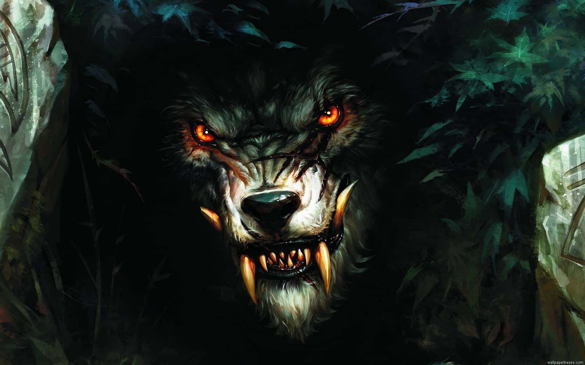 Angry Wolf 桌布 壁紙 — 一隻帶有發光橙色眼睛和尖銳獠牙的威脅性狼人從陰暗森林的黑暗樹葉中出現。