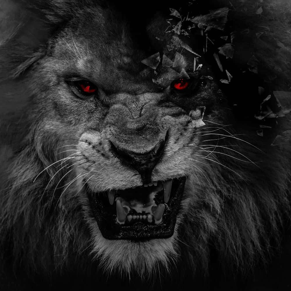Black Lion 桌布 壁紙 — 一隻帶有發光紅眼和破碎玻璃碎片從頭部噴出的兇猛獅子，在黑暗單色構圖中。