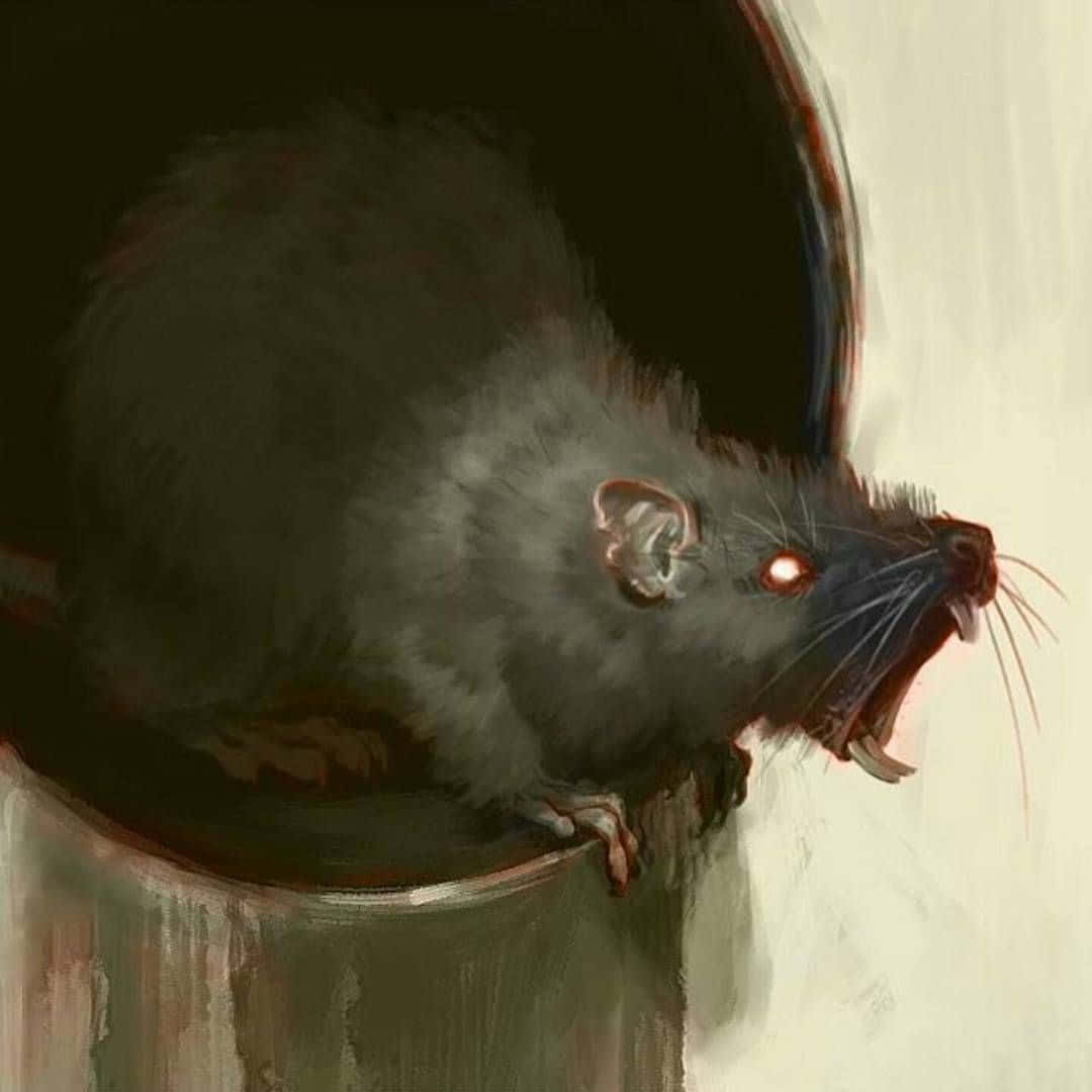 Rat 桌布 壁紙 — 一隻帶有發光紅眼的威脅性黑鼠在淺色背景的暗管邊緣咆哮。