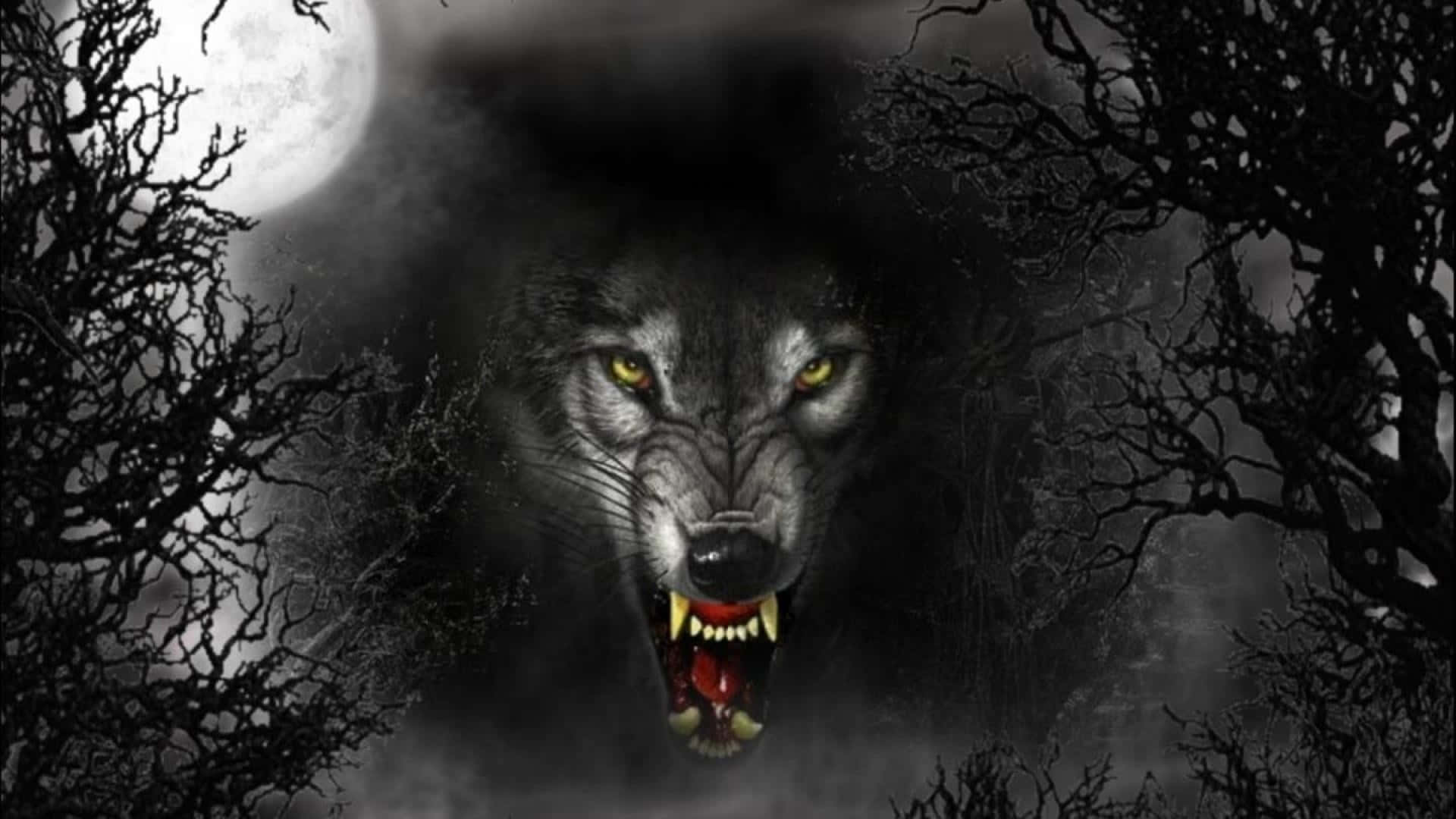 Angry Wolf 桌布 壁紙 — 一隻帶有發光黃色眼睛的威脅性狼在黑暗森林中，在扭曲的禿樹環繞的滿月下咆哮。