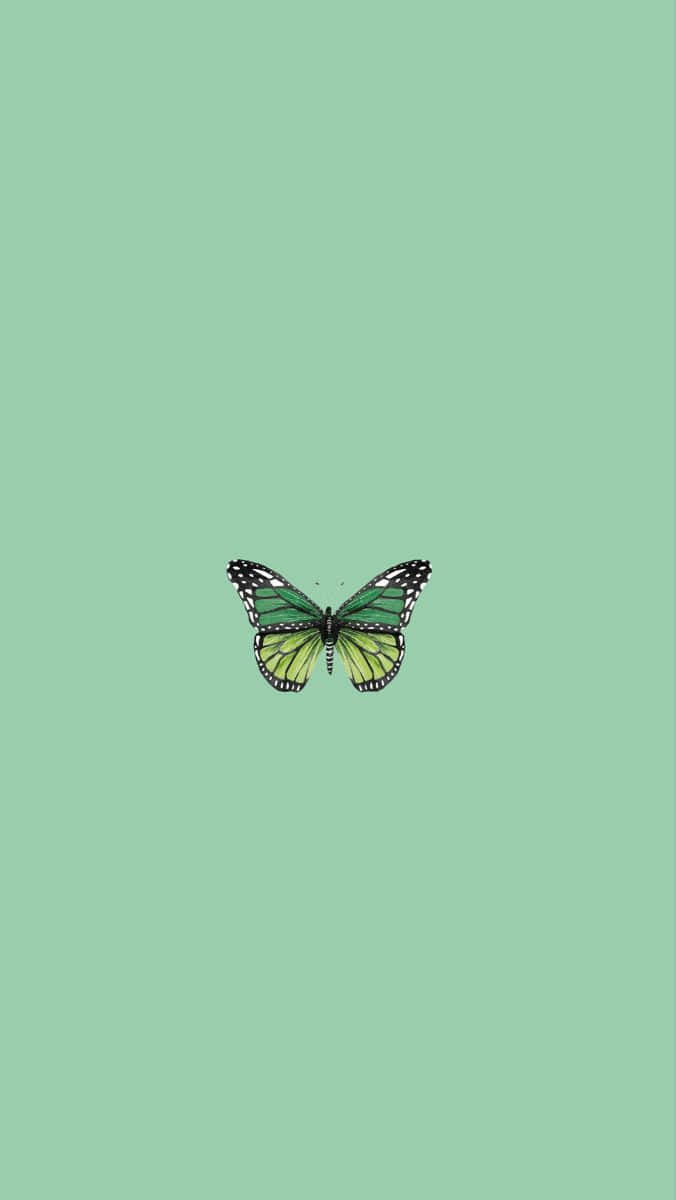 Green Butterfly 桌布 壁紙 — 一隻帶有白色斑點的綠色和黑色蝴蝶，居中停留在純薄荷綠色背景上。