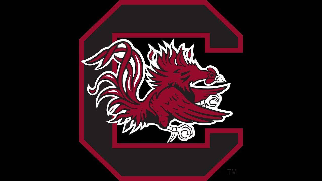South Carolina Gamecocks 桌布 壁紙 — 一隻帶有白色輪廓的兇猛紅色公雞吉祥物，站在黑色背景上一個粗體紅色字母C內。