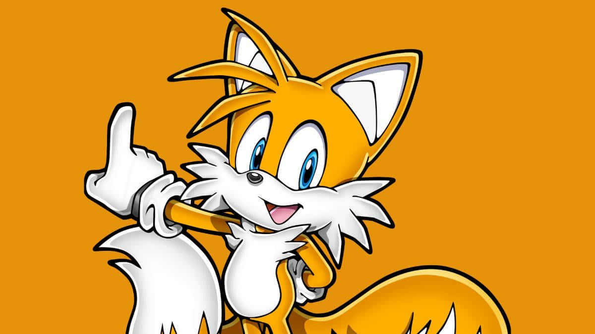 Tails 桌布 壁紙 — 一隻帶有白色點綴和藍色眼睛的開心橙色狐狸，在純橙色背景上豎起大拇指。