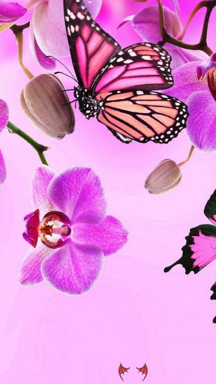 Pink Glitter Butterfly 桌布 壁紙 — 一隻帶有粉紅色和橙色翅膀的帝王蝶在柔和的粉紅色背景下，棲息在充滿活力的紫色蘭花之間。