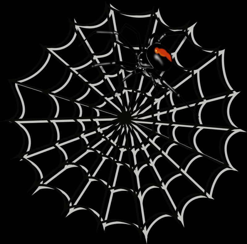 Spiderman Web 桌布 壁紙 — 一隻帶有紅色沙漏的黑寡婦蜘蛛坐在純黑色背景上的一個純白色蜘蛛網中央。