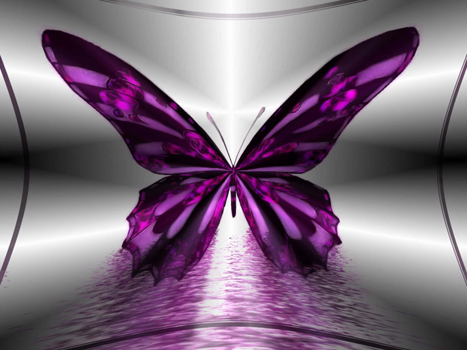 Emerging Butterfly 桌布 壁紙 — 一隻帶有虹彩翅膀的光澤紫色蝴蝶，站在一個反射的金屬隧道中，完美地倒映在地板上。