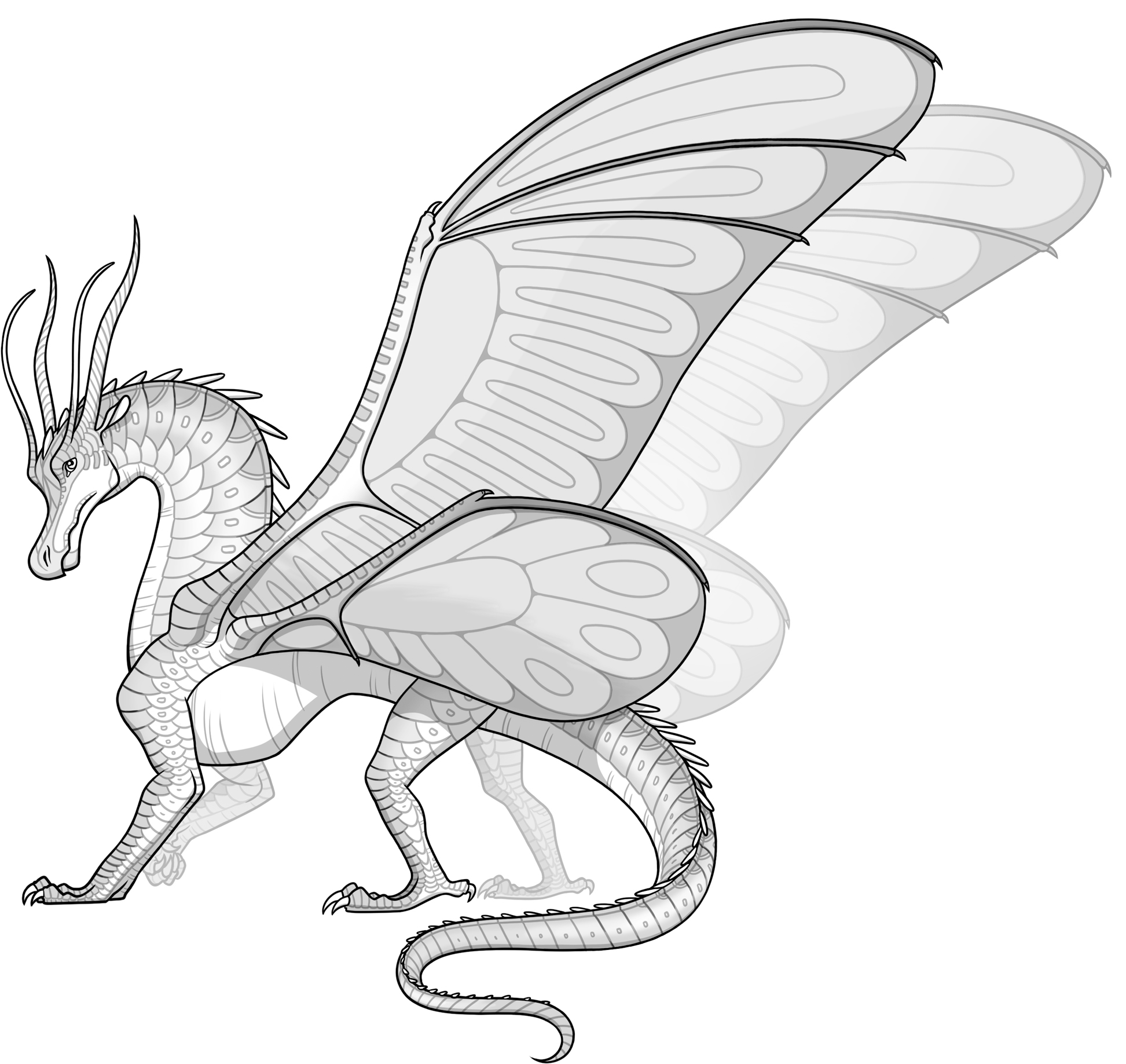 Wings Of Fire 桌布 壁紙 — 一隻帶有蝴蝶翅膀的雄偉白龍，在詳細的灰階線條藝術中，對著純黑背景擺出姿勢。