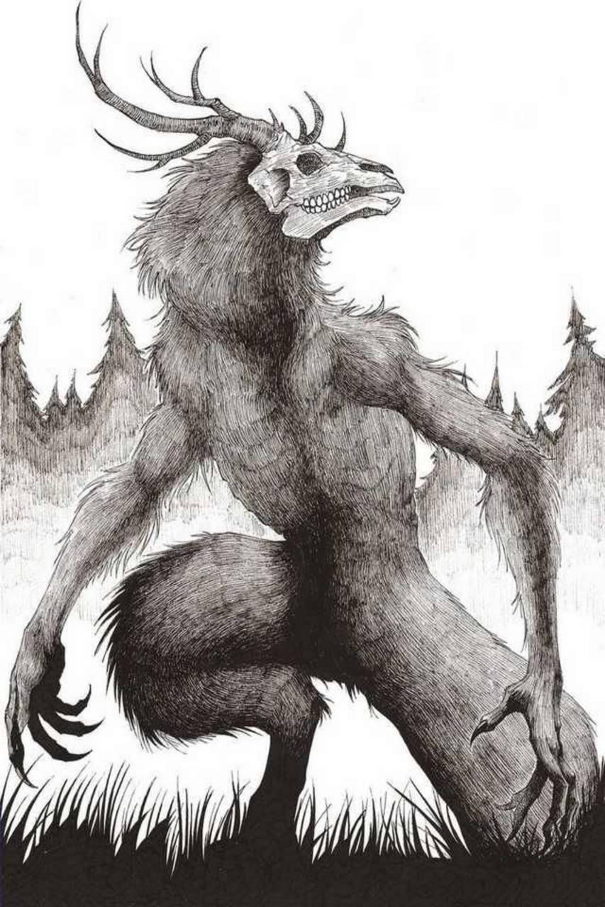 Wendigo 桌布 壁紙 — 一隻帶有骷髏面孔和毛皮的威脅性有角野獸蹲伏在森林中，以詳細的黑白線條藝術呈現。