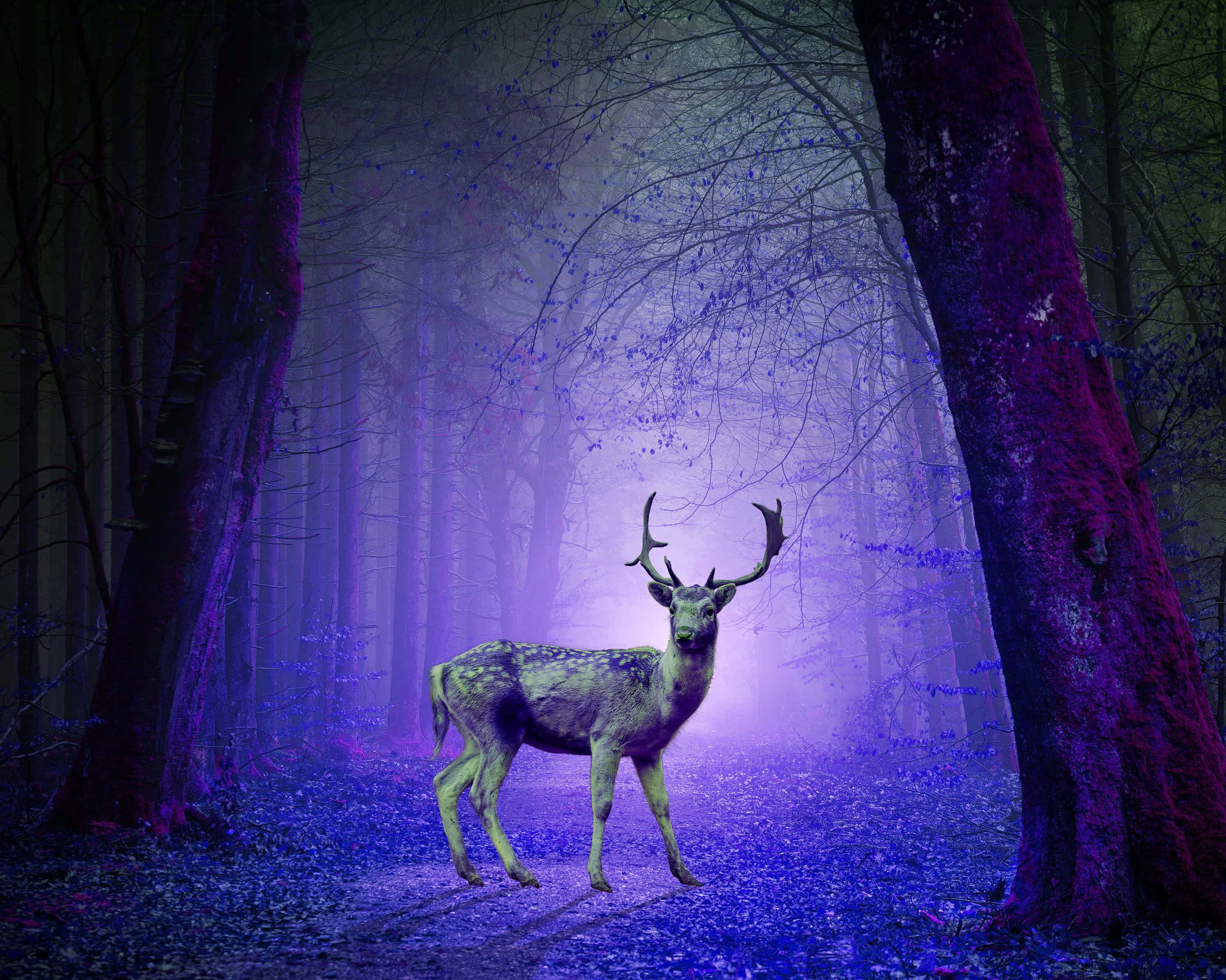 Psychedelic Animals 桌布 壁紙 — 一隻帶有鹿角的雄偉鹿站在神秘紫色森林中，散發著空靈的光芒。