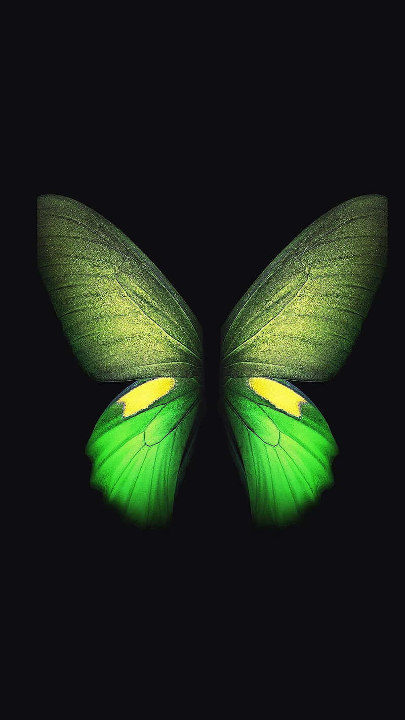 Green Butterfly 桌布 壁紙 — 一隻帶有黃色點綴的發光綠色蝴蝶在純黑色背景上閃耀。