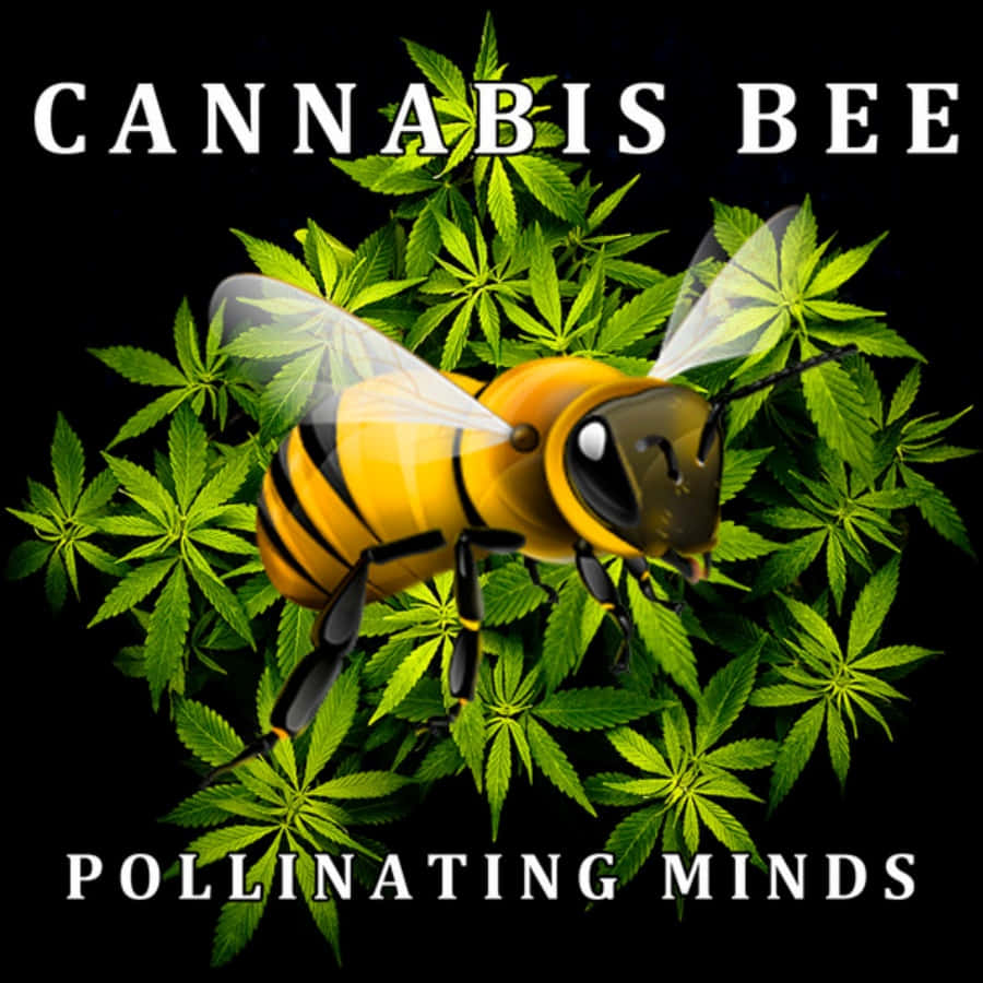 Weed Funny 桌布 壁紙 — 一隻帶有黃黑條紋的風格化蜜蜂在黑色背景上，於充滿活力的綠色大麻葉之間盤旋。
