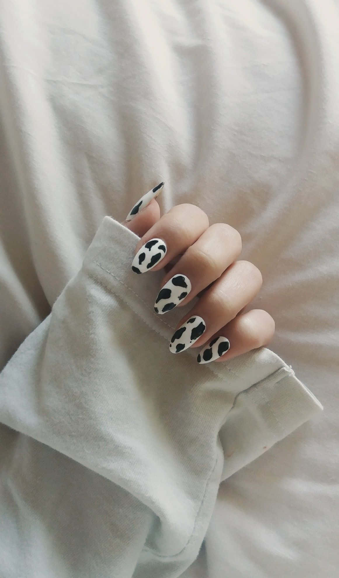 Nail 桌布 壁紙 — 一隻帶有黑白乳牛紋指甲的手輕輕放在柔軟的白色布料袖子上。