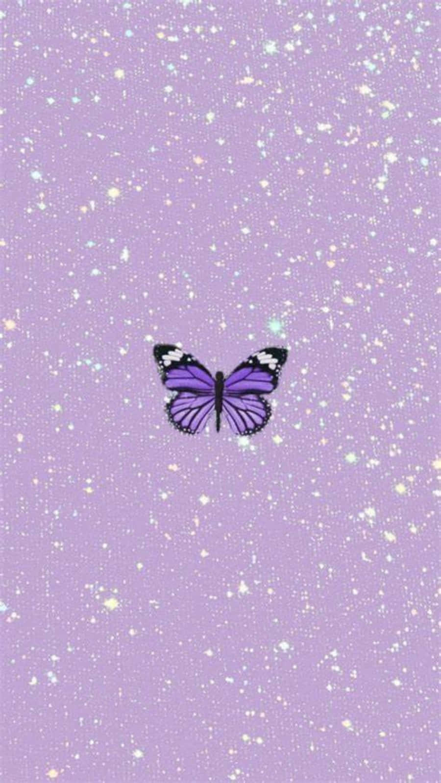 Cute Light Purple 桌布 壁紙 — 一隻帶有黑色和白色點綴的紫色蝴蝶，在閃閃發光的薰衣草背景上寧靜地飄浮。