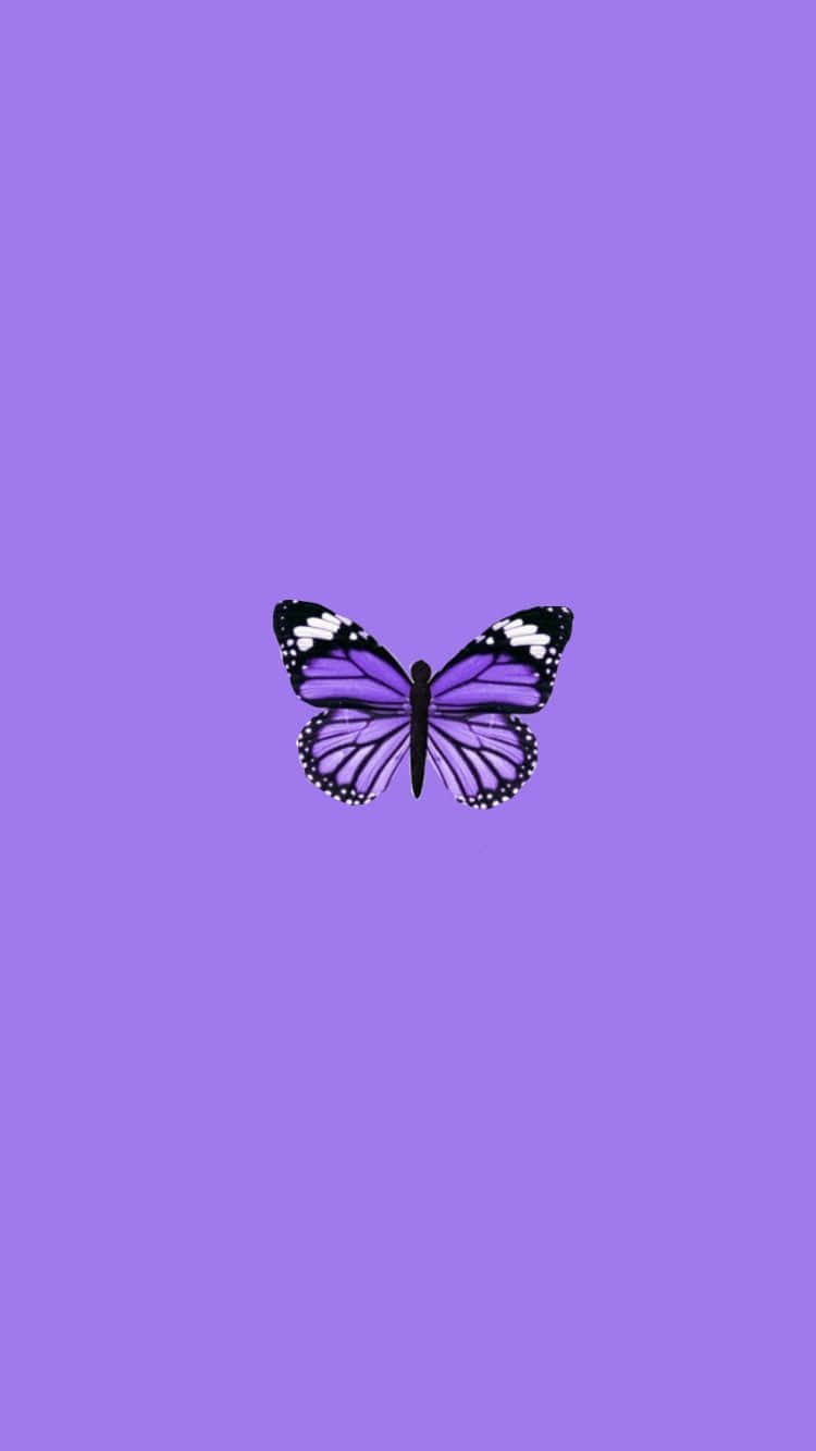 Purple Butterfly iPhone 桌布 壁紙 — 一隻帶有黑色和白色點綴的紫色蝴蝶，居中放置在純色薰衣草背景上。